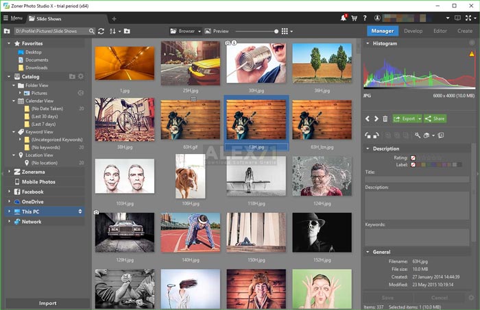 Download Zoner Photo Studio Full Version Windows 10