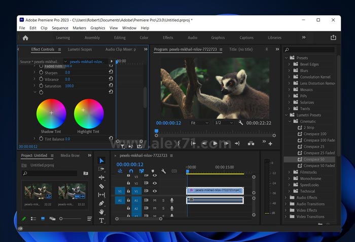 Download Premiere Pro 2023 Full Version Windows 11