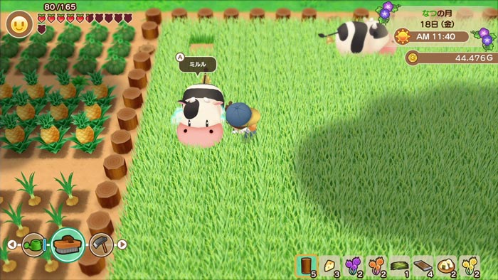 Free Download Story Of Seasons Friends Of Mineral Town Full Crack Fitgirl