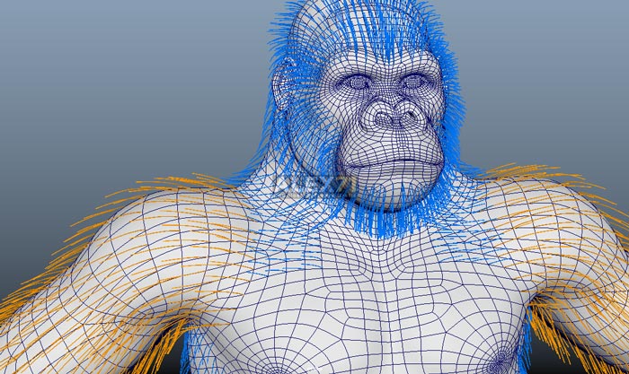 Free Download Yeti for Maya Full Crack 64 Bit