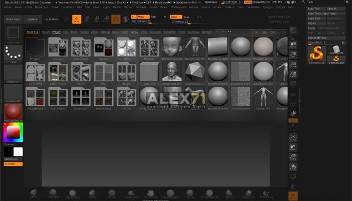 Download Pixologic Zbrush 2022 Full Version for free