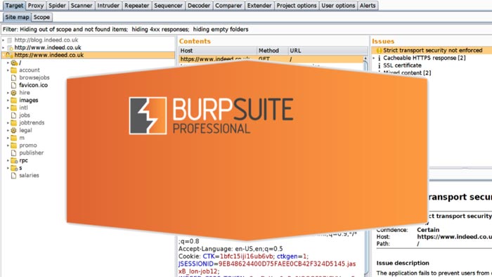 Download Burp Suite Pro Full Crack Windows 10