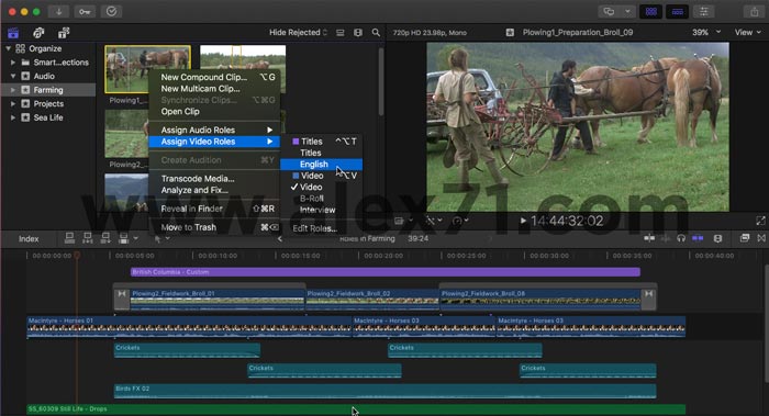 Download Final Cut Pro