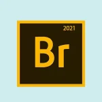 Adobe Bridge CC 2021 v11