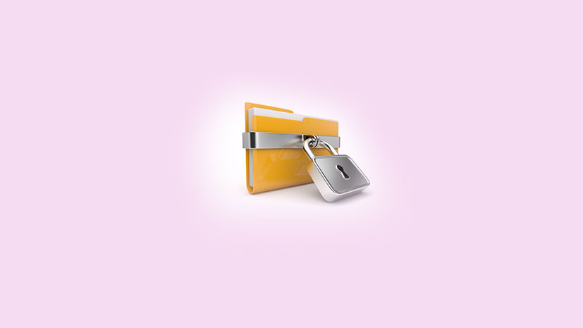 GiliSoft File Lock Pro 13.3