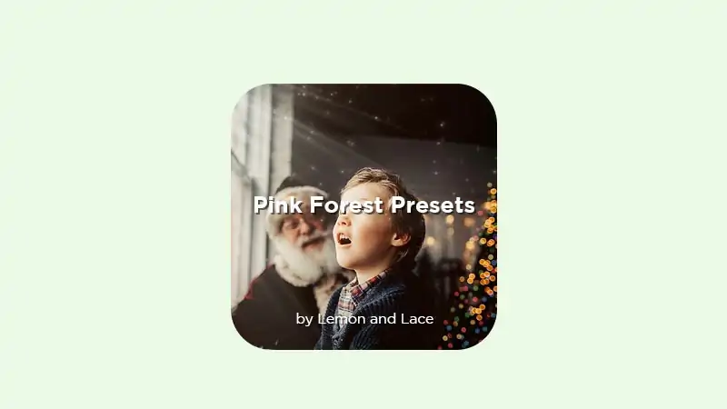 Lightroom Presets » Lemon and Lace Presets Pink Frost