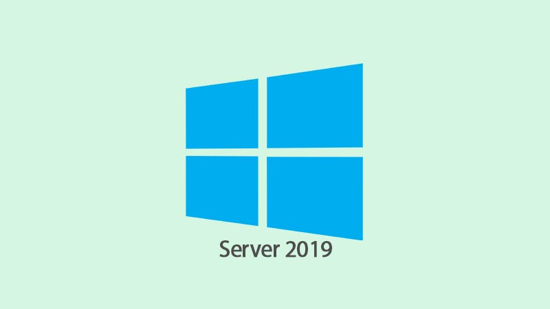 Microsoft Windows Server 2019 VLSC [2024]