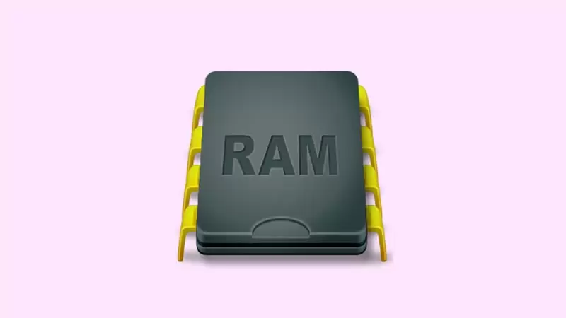 RAM Saver Pro 24.2 (+Portable)