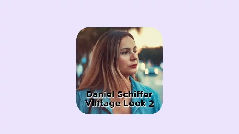 Vintage Look 2 LUTs By Daniel Schiffer