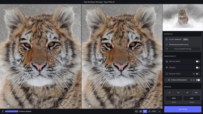 Download Topaz Photo AI Full Version 64 Bit